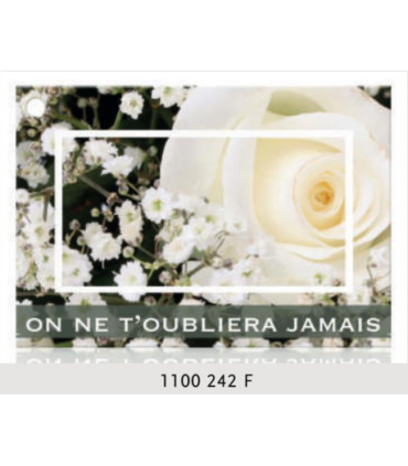 JESO CARTE "BRILLANTE"+ENVELOPPE/ 10P