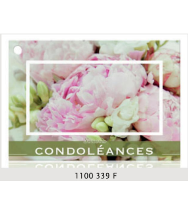 JESO CARTE "BRILLANTE"+ENVELOPPE/ 10P