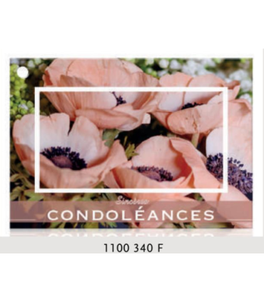 JESO CARTE "BRILLANTE"+ENVELOPPE/ 10P