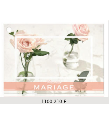 JESO CARTE "BRILLANTE"+ENVELOPPE/ 10P