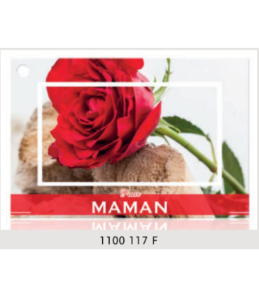 JESO CARTE "BRILLANTE"+ENVELOPPE/ 10P