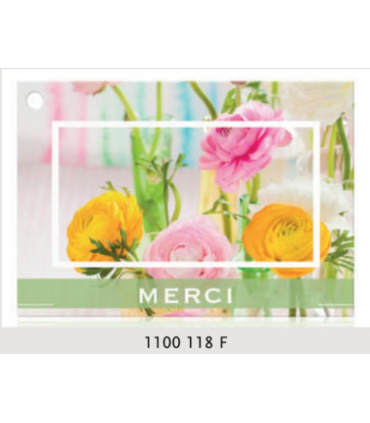 JESO CARTE "BRILLANTE"+ENVELOPPE/ 10P