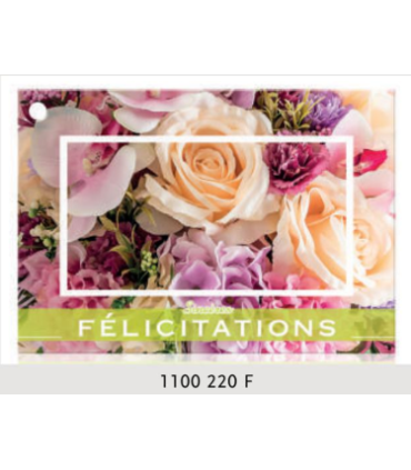 JESO CARTE "BRILLANTE"+ENVELOPPE/ 10P