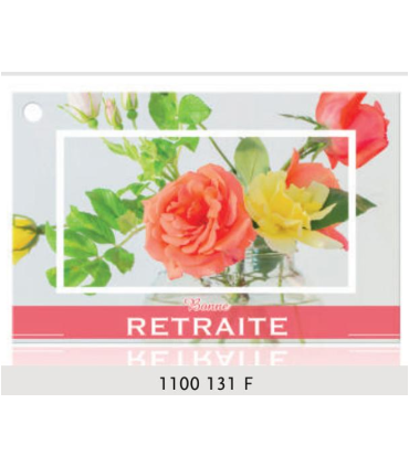 JESO CARTE "BRILLANTE"+ENVELOPPE/ 10P