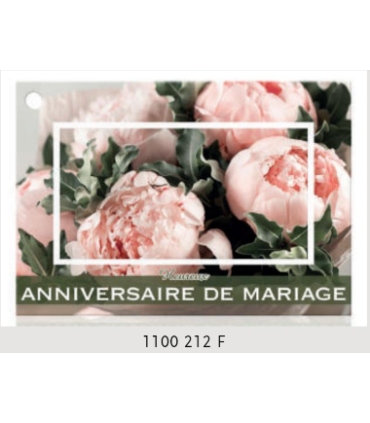 JESO CARTE "BRILLANTE"+ENVELOPPE/ 10P