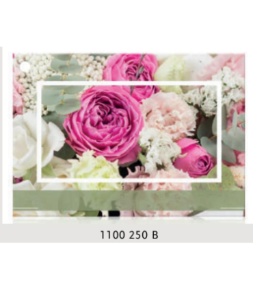 JESO CARTE "BRILLANTE"+ENVELOPPE/ 10P