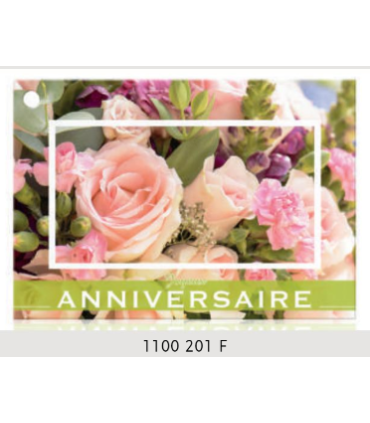 JESO CARTE "BRILLANTE"+ENVELOPPE/ 10P