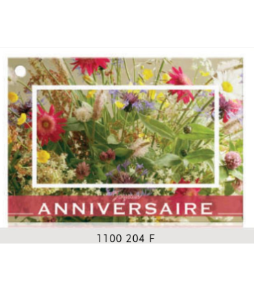 JESO CARTE "BRILLANTE"+ENVELOPPE/ 10P