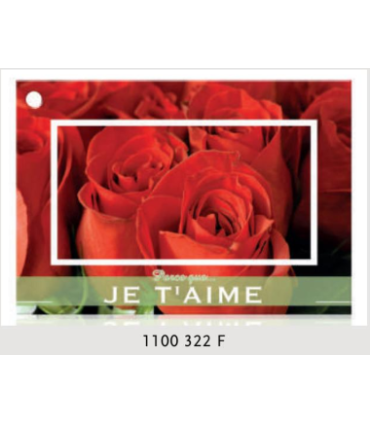 JESO CARTE "BRILLANTE"+ENVELOPPE/ 10P