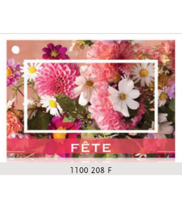 JESO CARTE "BRILLANTE"+ENVELOPPE/ 10P