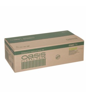 OASIS MOUILLABLE IDEAL 20 ...................1010 