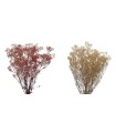 VERDISSIMO-GYPSOFILA 40/60