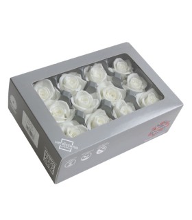 VERDISSIMO-ROSE mini 12P