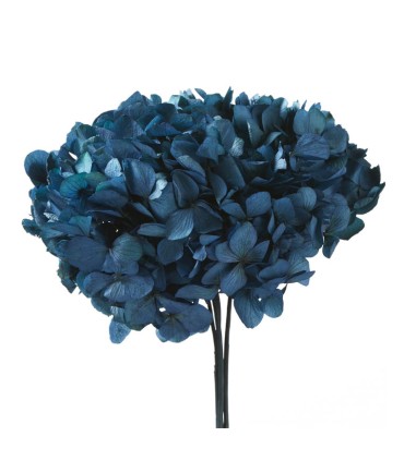 VERDISSIMO-HYDRANGEA standard à la pièce