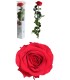 VERDISSIMO-ROSE AMOROSA PREMIUM EMBALLE /1P