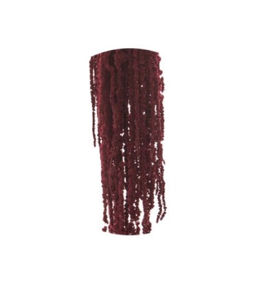 VERDISSIMO-AMARANTHUS 40/70CM