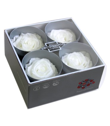 VERDISSIMO-ROSE Prémium 4P