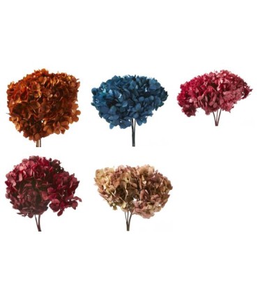 VERDISSIMO-HYDRANGEA standard à la pièce