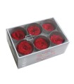 VERDISSIMO-ROSE Garden 6P