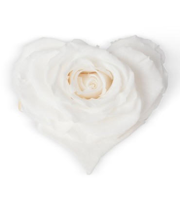 VERDISSIMO-ROSE Coeur pièce