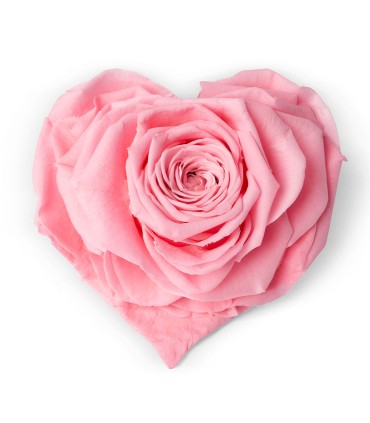 VERDISSIMO-ROSE Coeur pièce