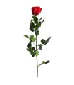VERDISSIMO-ROSE AMOROSA / 1 TIGE