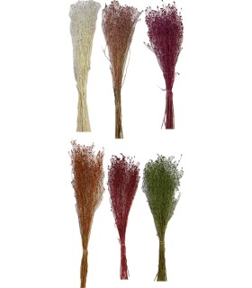 CENTAUREA MINI SECHE COULEURS sac 150gr