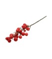 BRANCHE POMME SENTINELLE ROUGE /1P