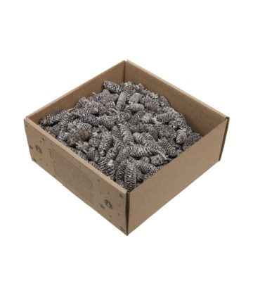 FRUIT SEC "BOULEAU" boite de 250GR