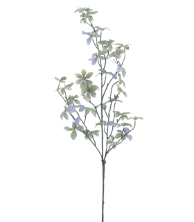 FEUILLE DE PITTOSPORUM GRIS BLEU 105CM