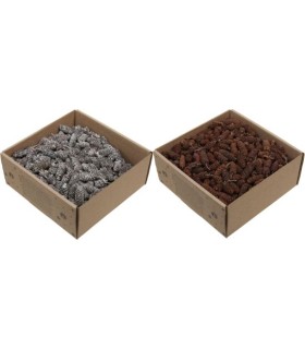 FRUIT SEC "BOULEAU" boite de 250GR