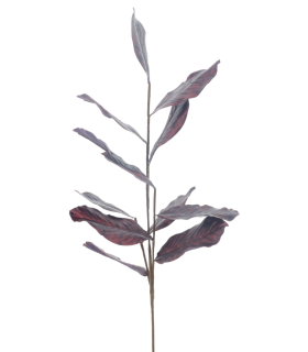 FEUILLE DE MAGNOLIA 99CM