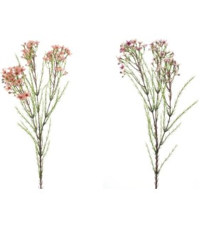 FLEUR DE CIRE 78CM à la pièce