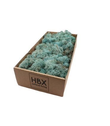 MOUSSE ISLANDE TEINTEE  500GR