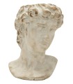 TETE DE DAVID 17X14 H22CM à la pièce