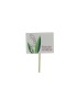 PIQUE MUGUET DESTINATION BONHEUR /12P