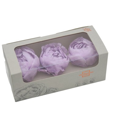 VERDISSIMO-PEONY boite 3P