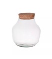 VERRE TERRARIUM +BOUCHON H19CM /1P