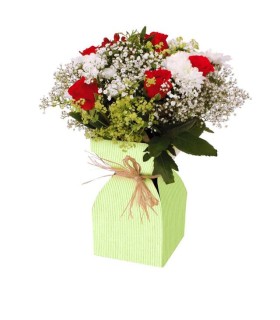 VASE BASE KRAFT+plastique H21CM/20P