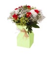VASE BASE KRAFT+plastique H21CM/20P