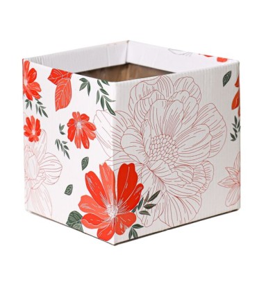 BOITE CARTON SIMPLY IMP.médium les 10P