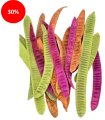 SECHE STEP FRUIT assortiment 20P