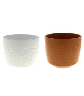 C.POT PALM 020.5 H20.5CM les 4P