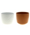 C.POT PALM 020.5 H20.5CM les 4P