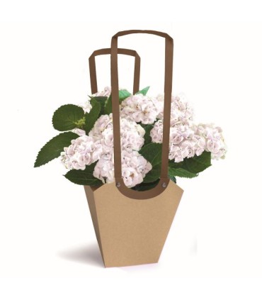 SAC AQUA POT SMALL/10P