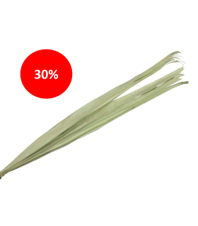 FEUILLE SECHEE 90-110CM /10P