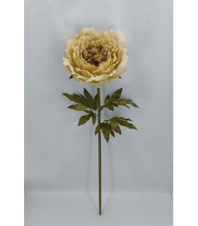 PIVOINE BEIGE SUR TIGE 038 H115CM /1P