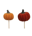 CITROUILLE COULEURS SUR PIQUE les 12P