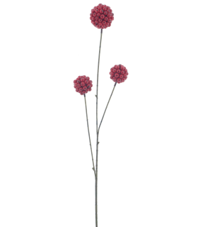 BRANCHE DE BAIE ROUGE BOULE 81CM les 6P