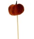 CITROUILLE ORANGE SUR PIQUE les 12P
